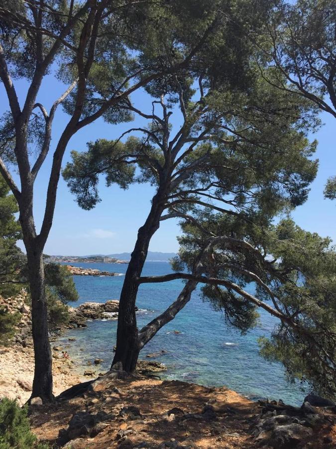 Villa Cocody Bandol Zewnętrze zdjęcie