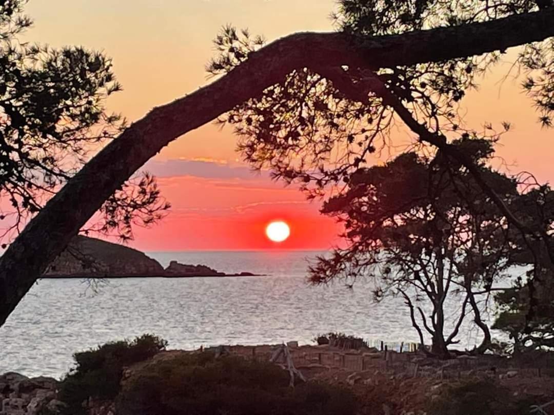 Villa Cocody Bandol Zewnętrze zdjęcie