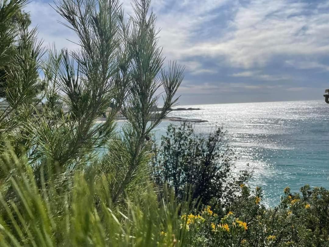 Villa Cocody Bandol Zewnętrze zdjęcie