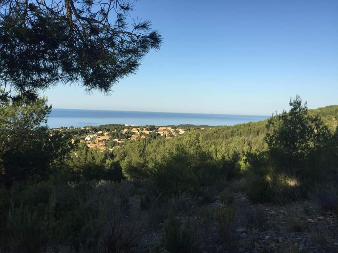Villa Cocody Bandol Zewnętrze zdjęcie
