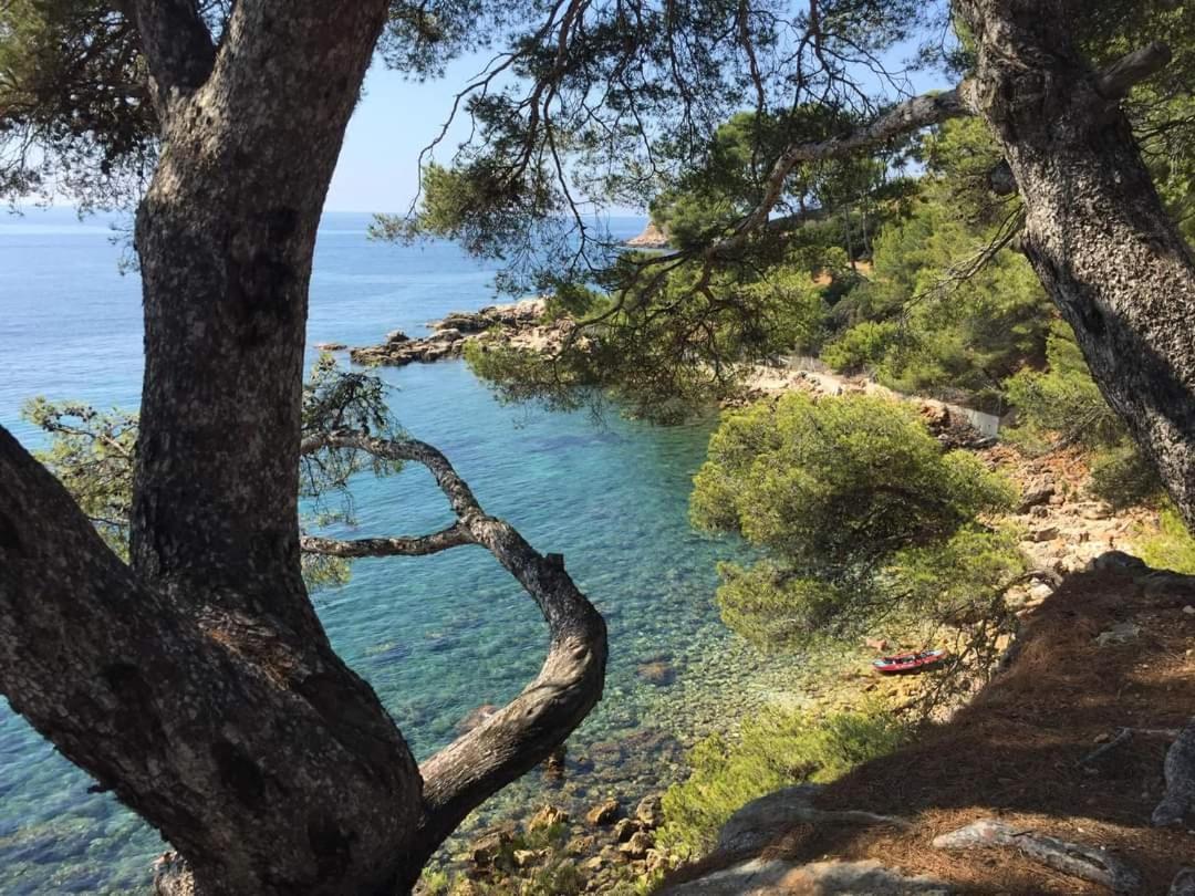 Villa Cocody Bandol Zewnętrze zdjęcie