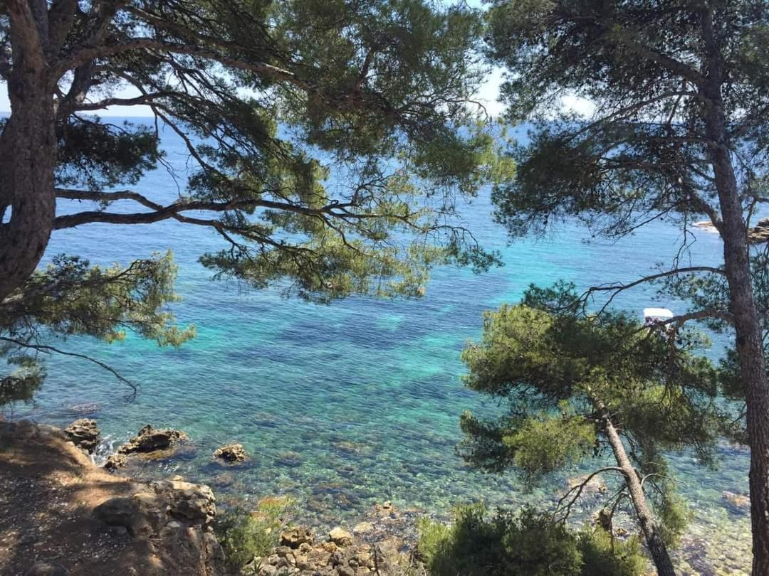 Villa Cocody Bandol Zewnętrze zdjęcie