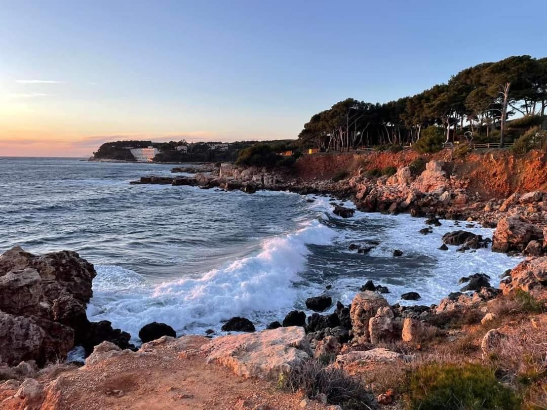 Villa Cocody Bandol Zewnętrze zdjęcie